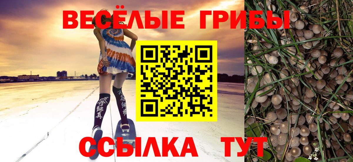 где купить   Вход с VPN  Зеленодольск  Галлюциногенные грибы MAGIC MUSHROOMS 